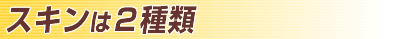 �X�L���͂Q��ށ@